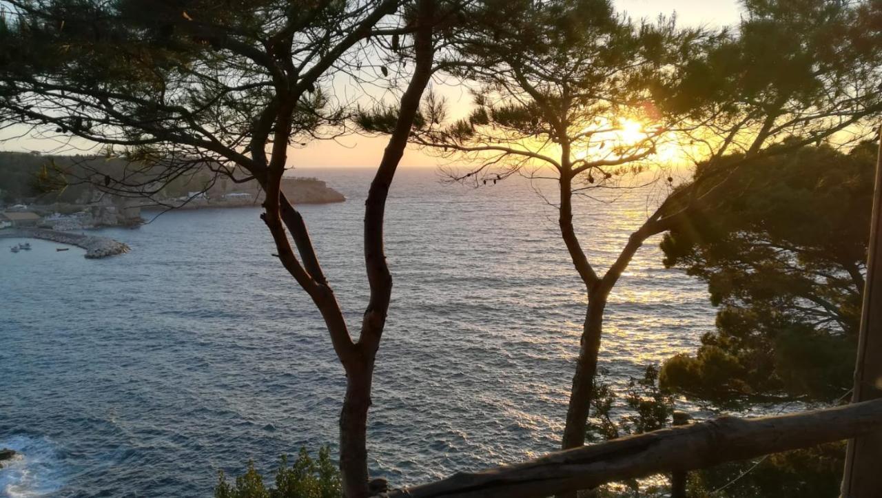 Yourhome - San Valerio Home Sorrento Dış mekan fotoğraf