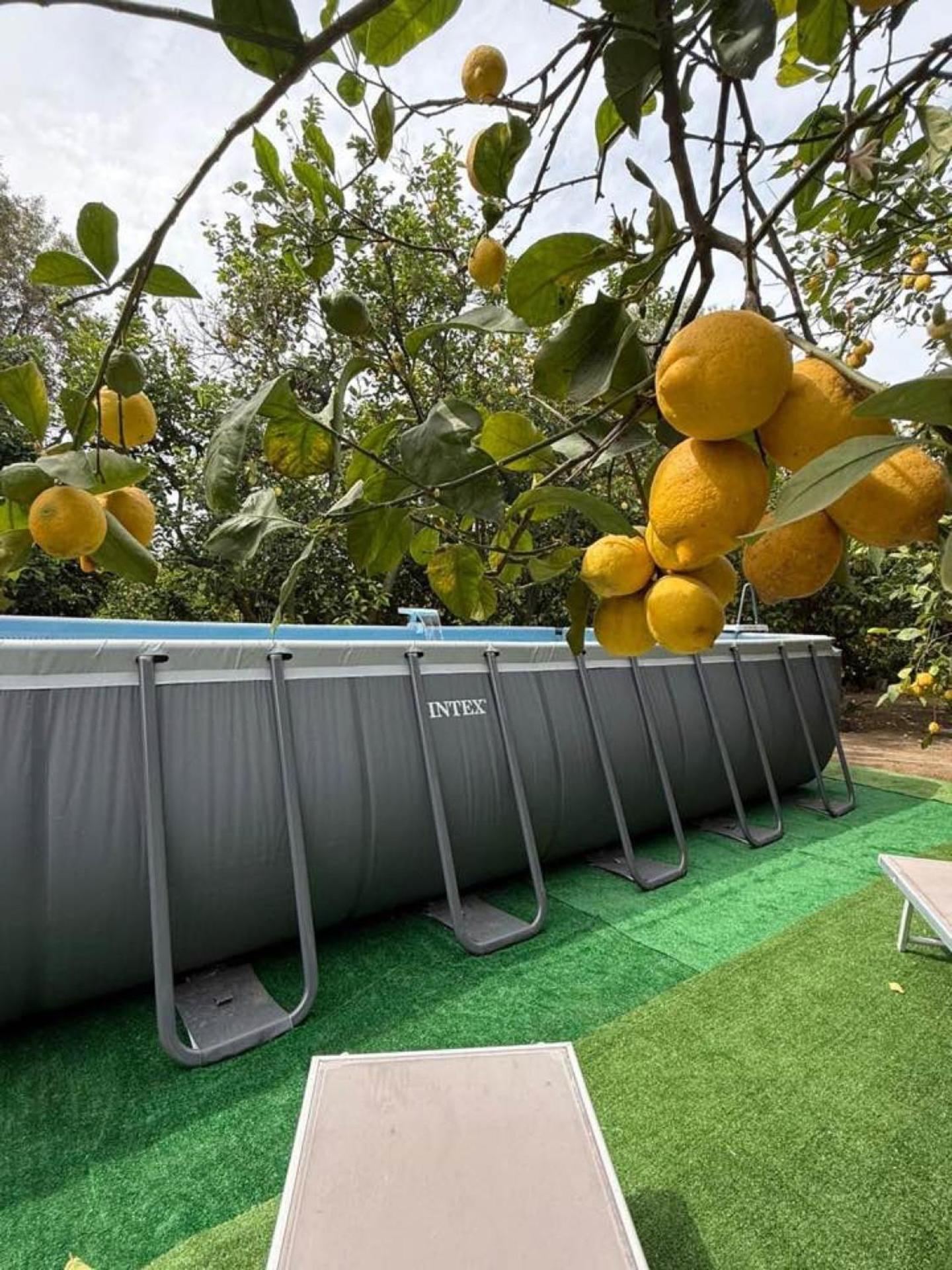 Yourhome - San Valerio Home Sorrento Dış mekan fotoğraf